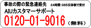 AIU保険会社