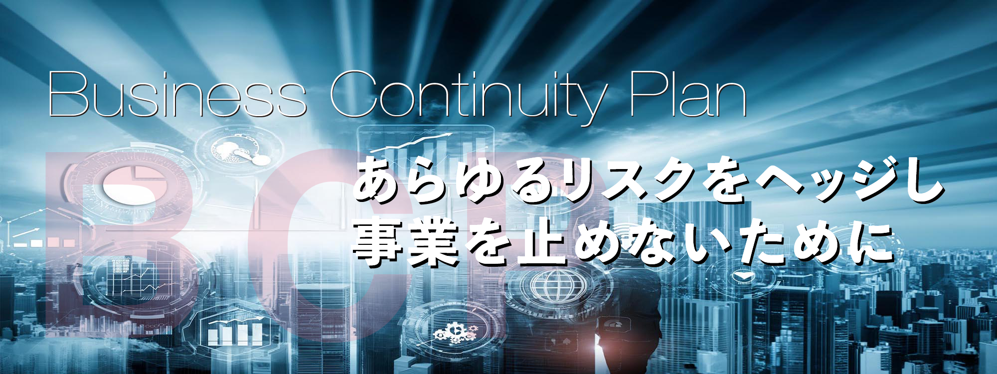 あらゆるリスクをヘッジし事業を止めないために
